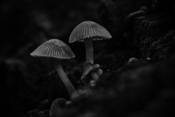 ?